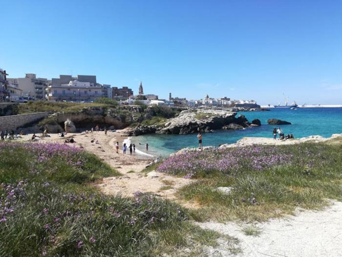 Eco Del Mare Locazioni Turistiche Daire Monopoli Dış mekan fotoğraf